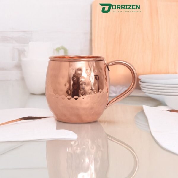 The Gilded Sip Copper Beer Mule Mug Set of 4