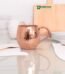 The Gilded Sip Copper Beer Mule Mug Set of 4